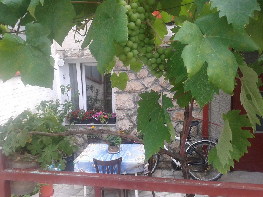奥赫里德 House Nativa酒店 外观 照片